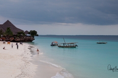 _DSC0064 Zanzibar